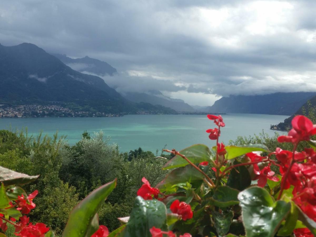 Alba E Tramonto Appartamenti Vista Lago Bellagio Exteriér fotografie